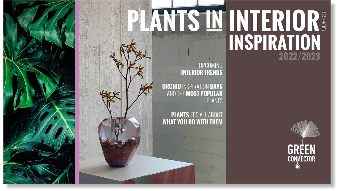 Green Connector’s ‘Plants IN Interior’ magazine is now available!